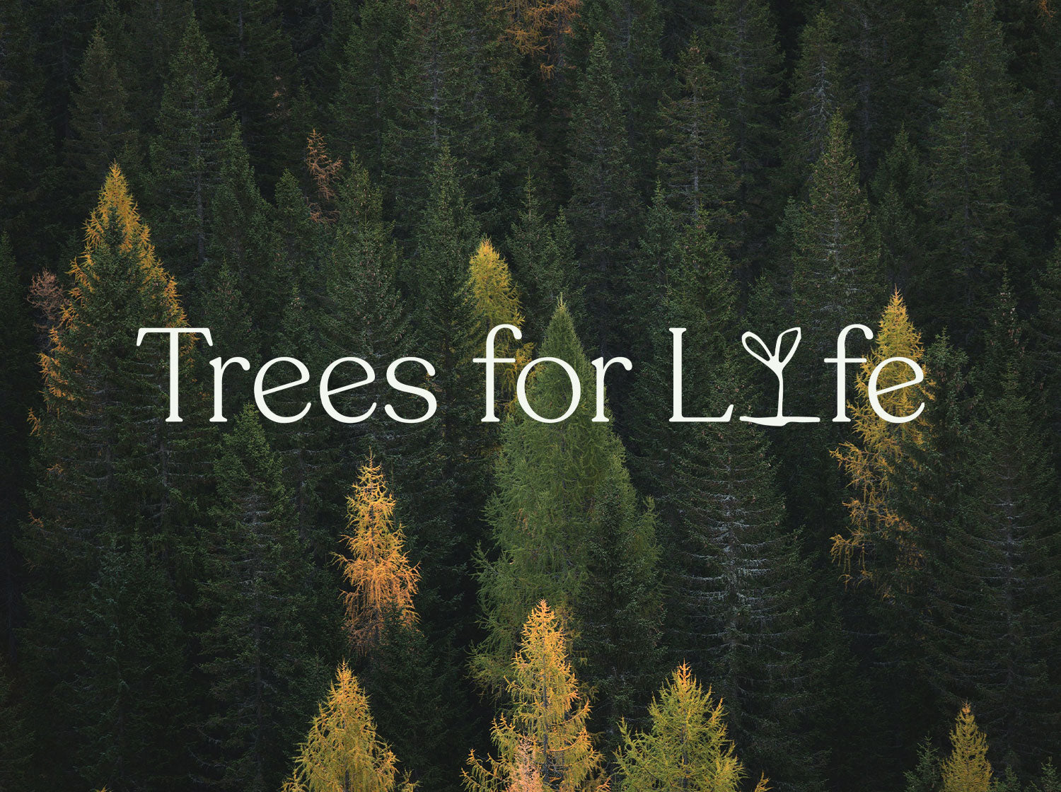 Planting Trees