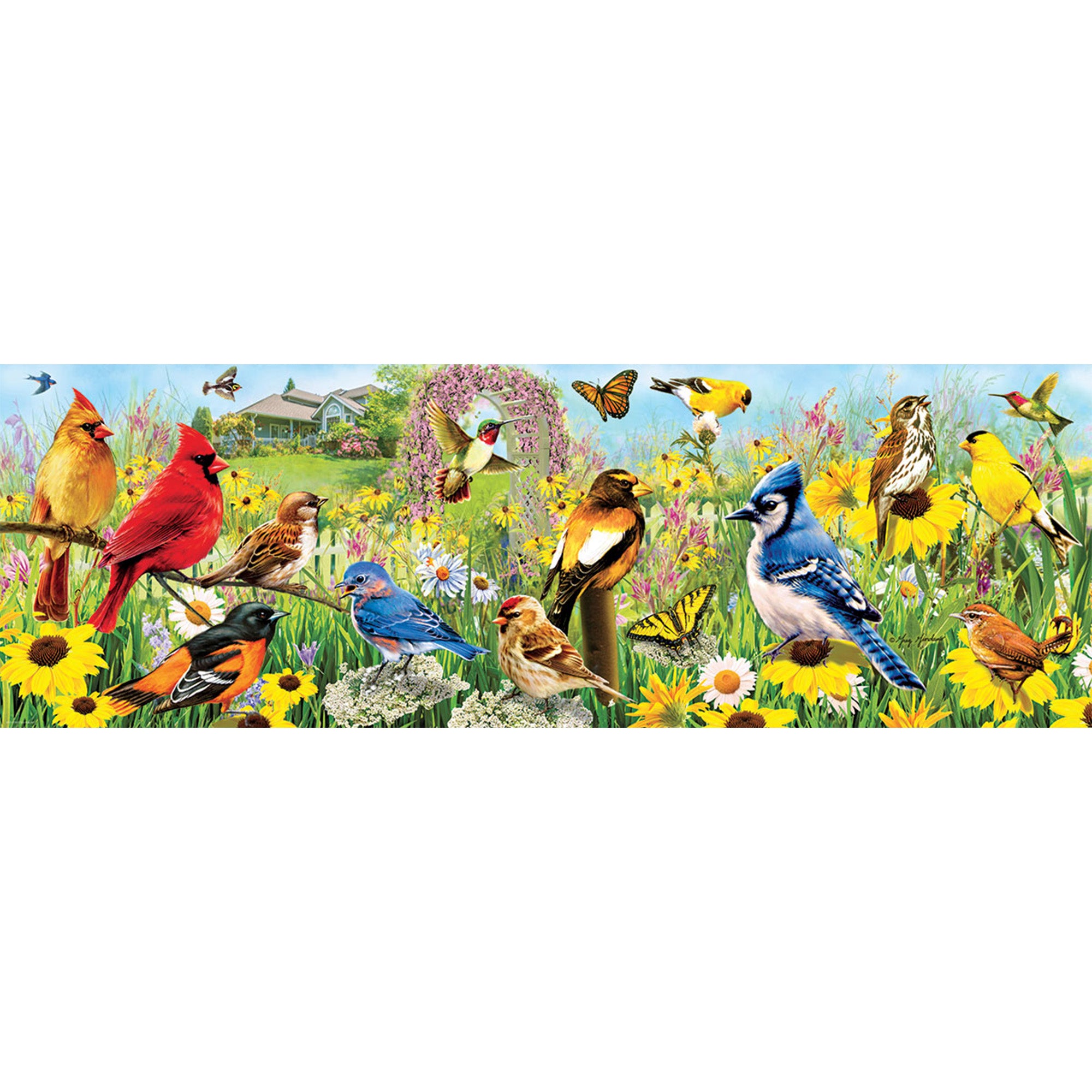 Backyard Birds Panoramic Jigsaw - 1000 Pieces