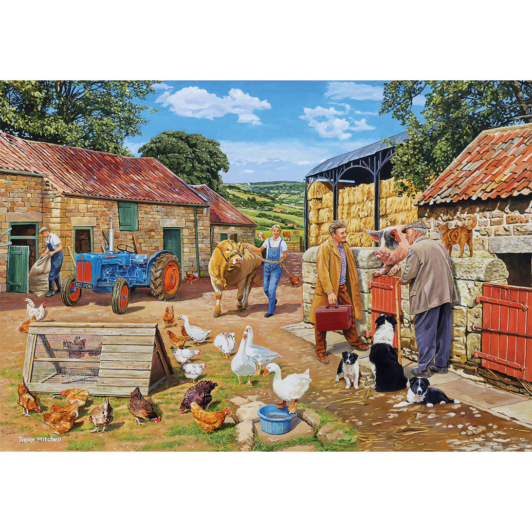 Call The Vet Jigsaws - 4 x 500 Pieces