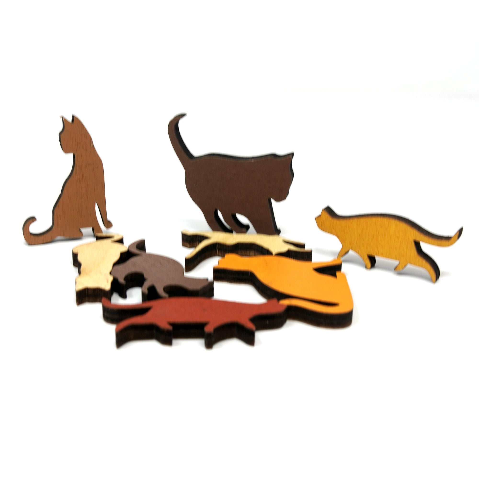 Cat Basket Puzzle