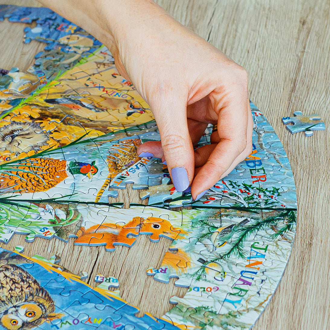 The Art File - Winter Story Circular Jigsaw - 500 Pieces