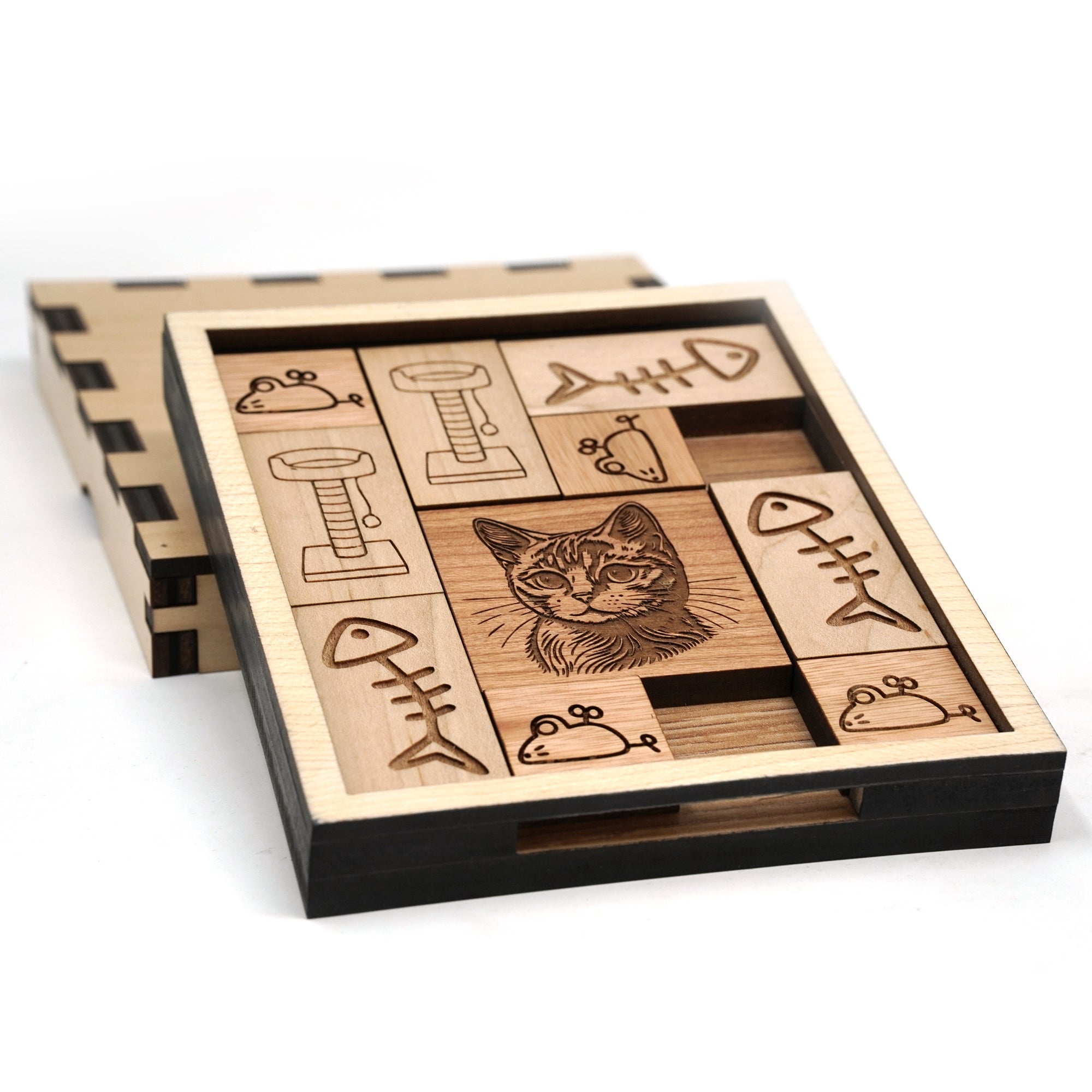 The Great Cat Escape Puzzle