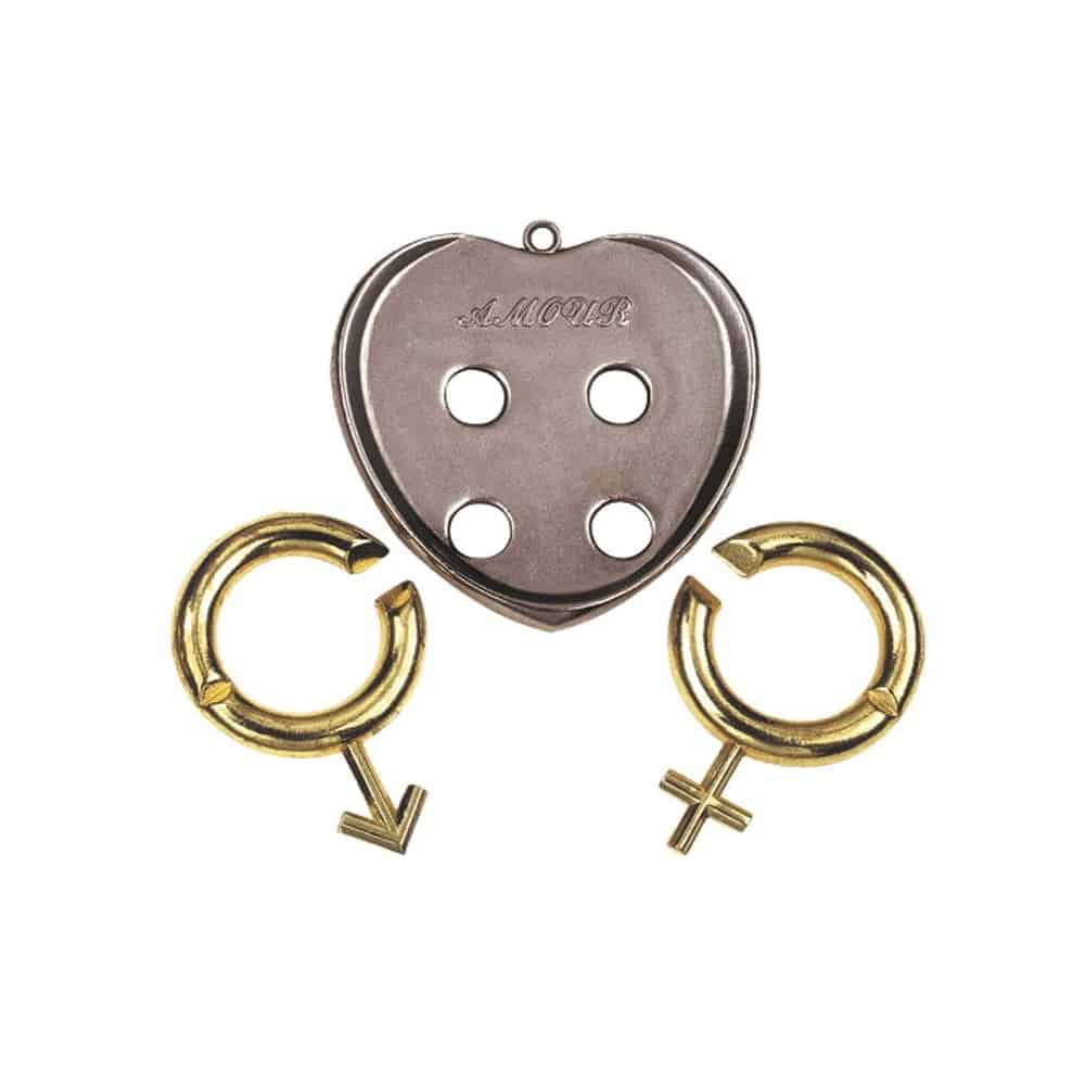 Hanayama Cast Amour Puzzle