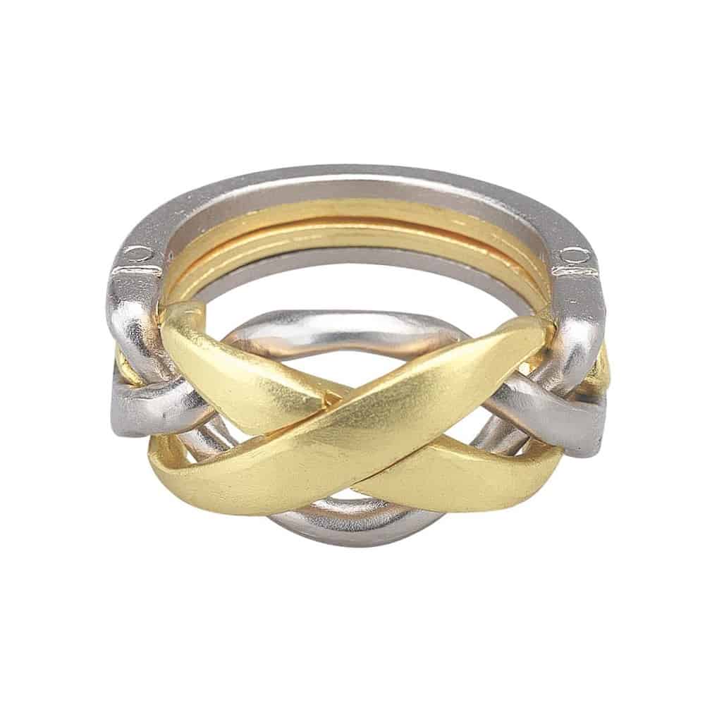 Hanayama Cast Ring Puzzle
