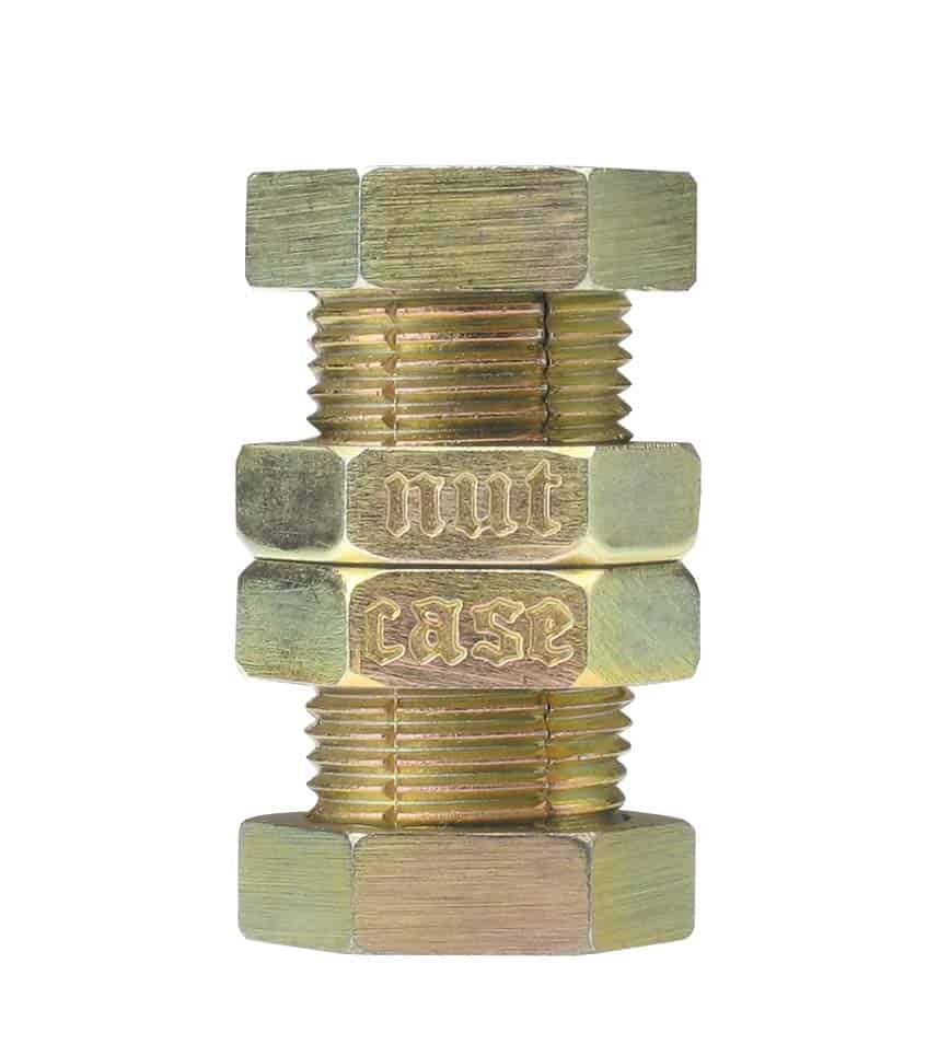 Hanayama Cast Nutcase Puzzle