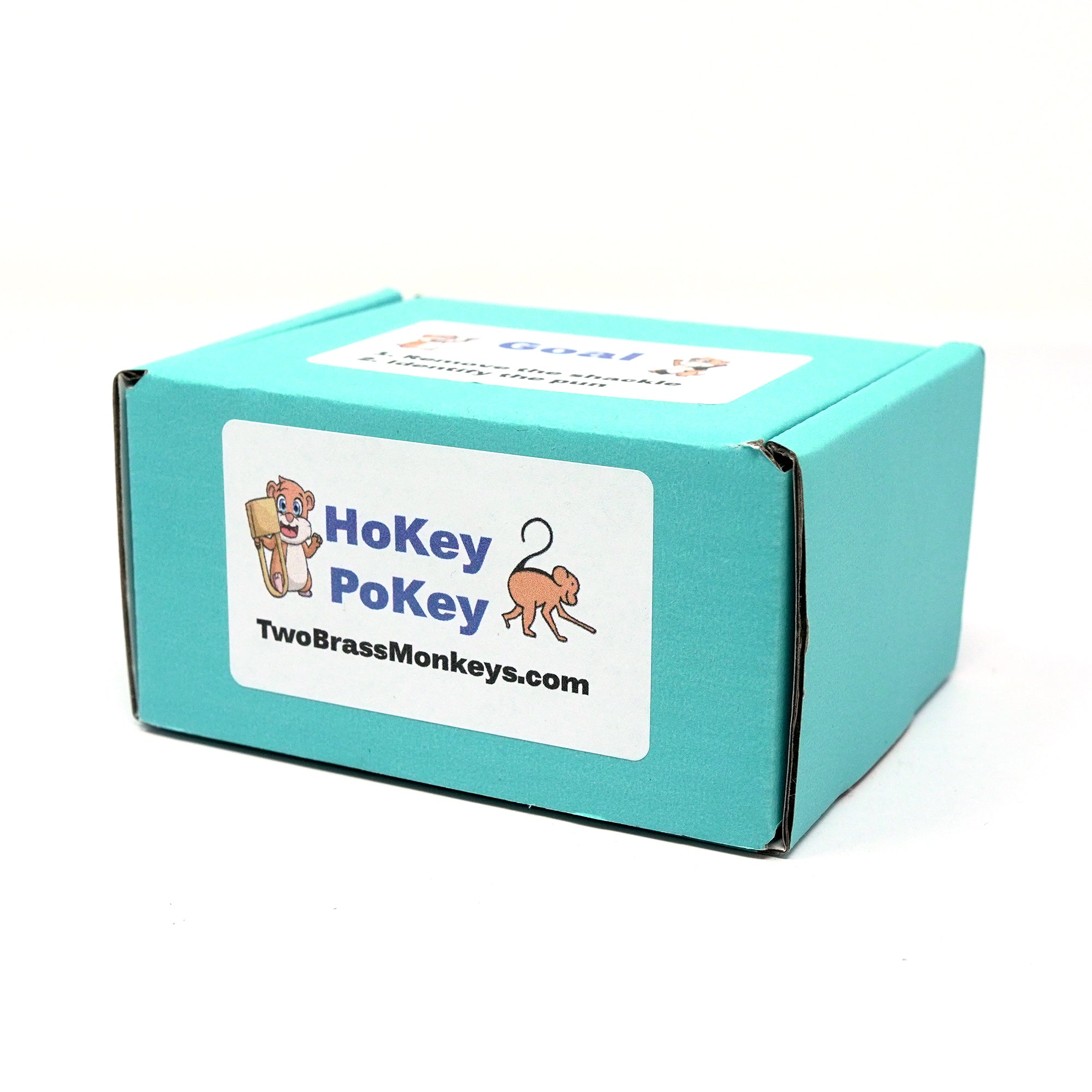 Hokey Pokey Lock Puzzle
