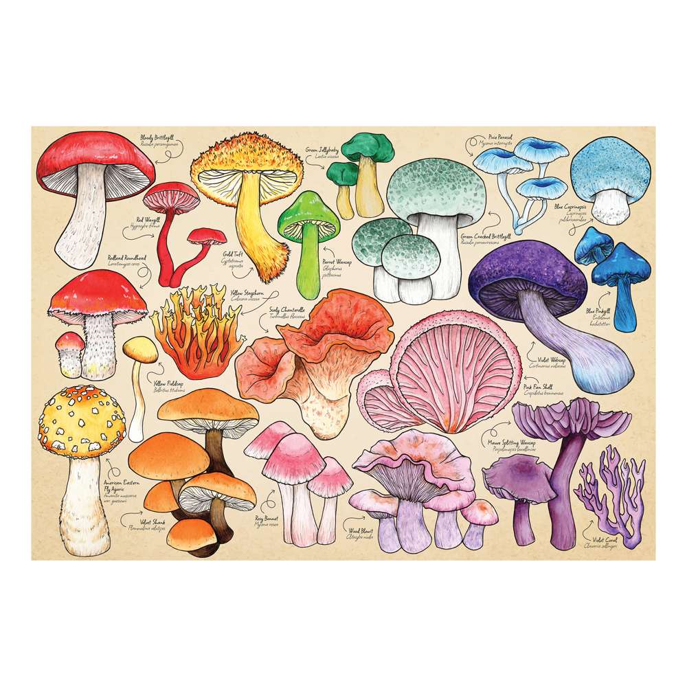 Mushroom Mania Jigsaw - 1000 Pieces