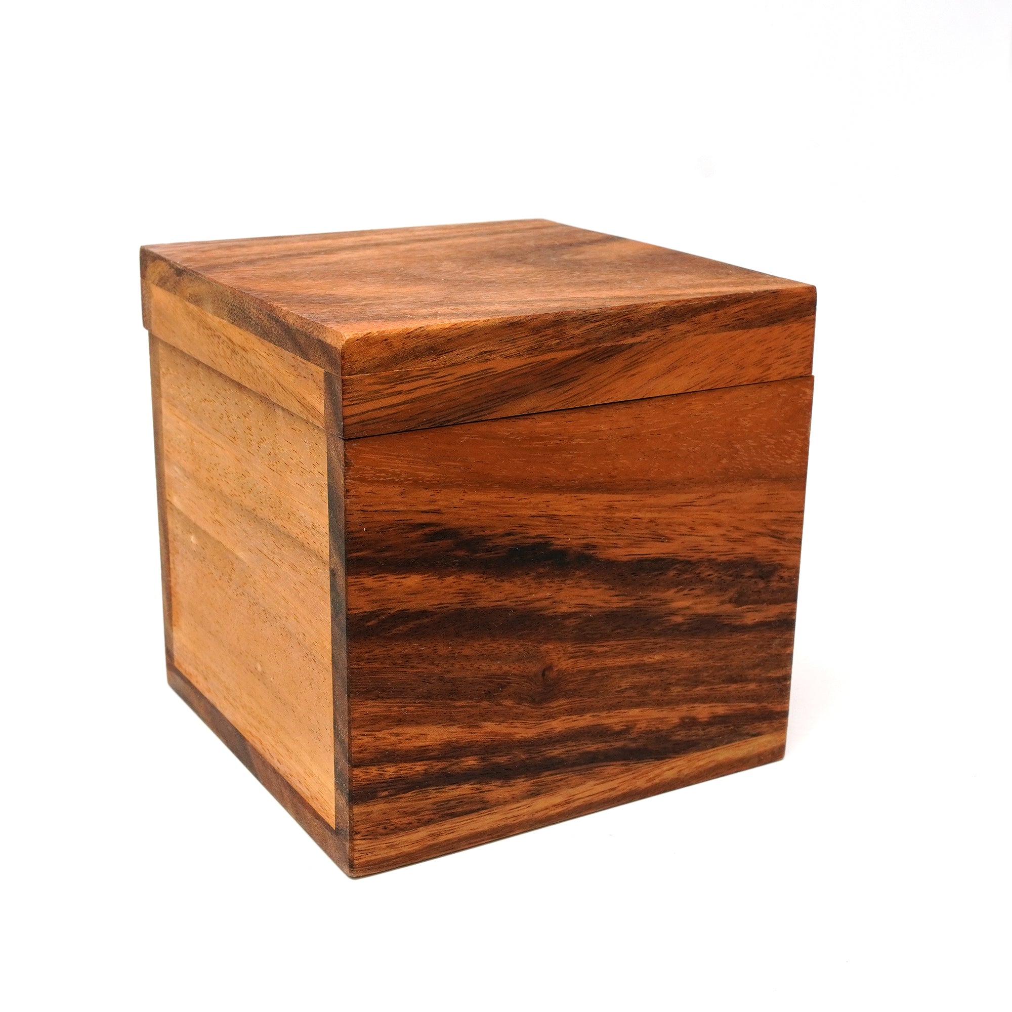 Monster T Wooden Puzzle