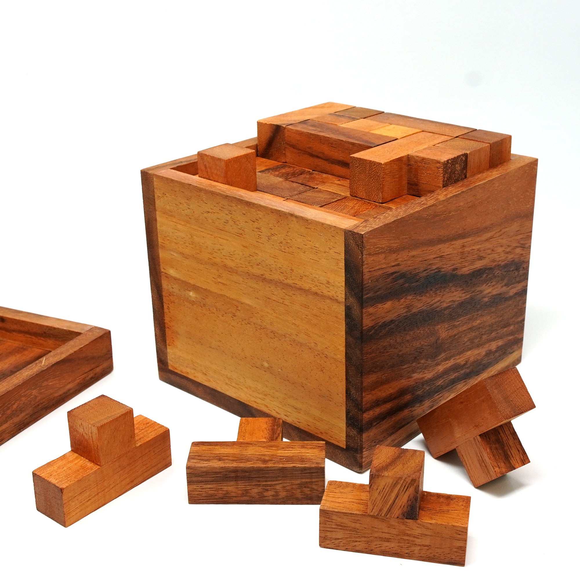 Monster T Wooden Puzzle