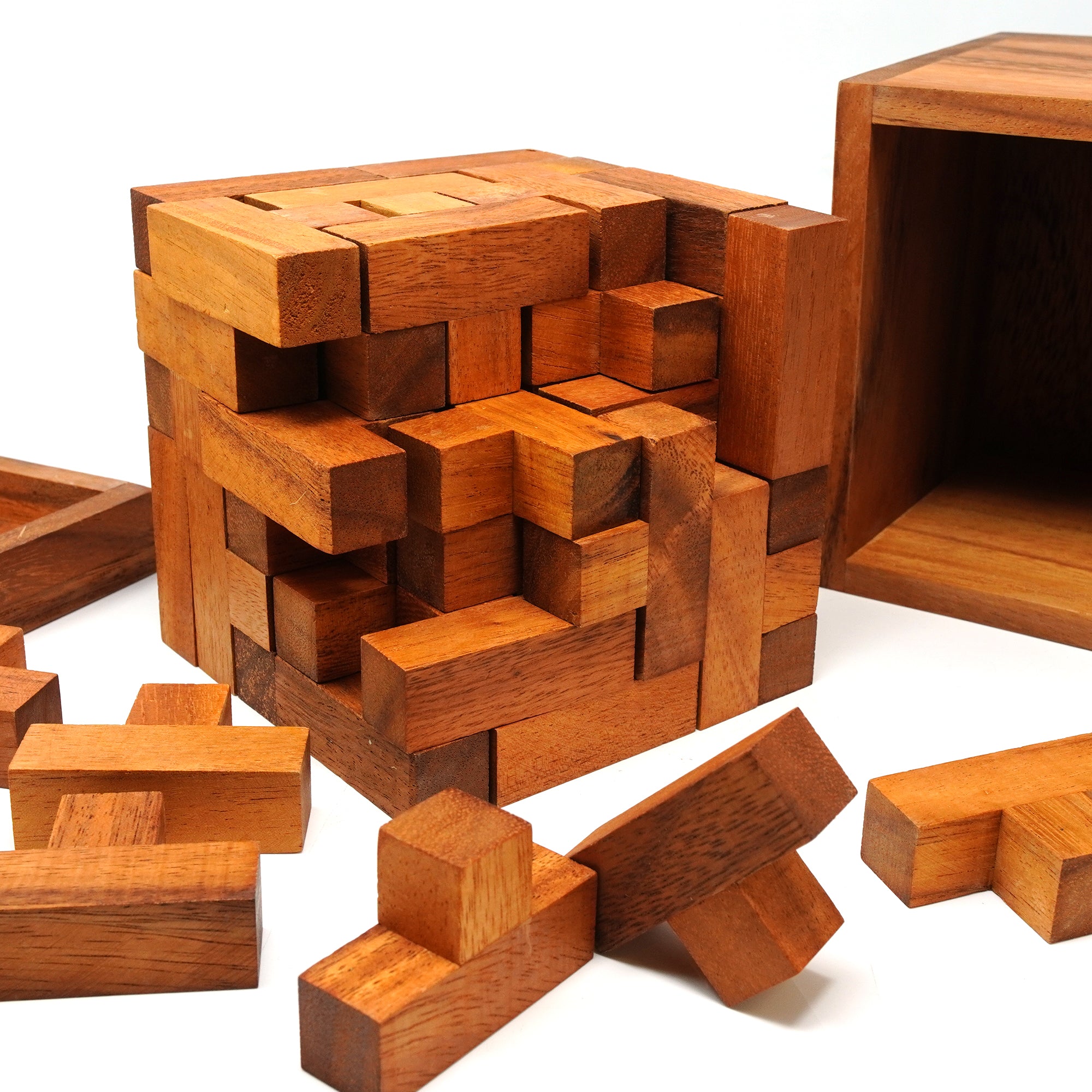 Monster T Wooden Puzzle