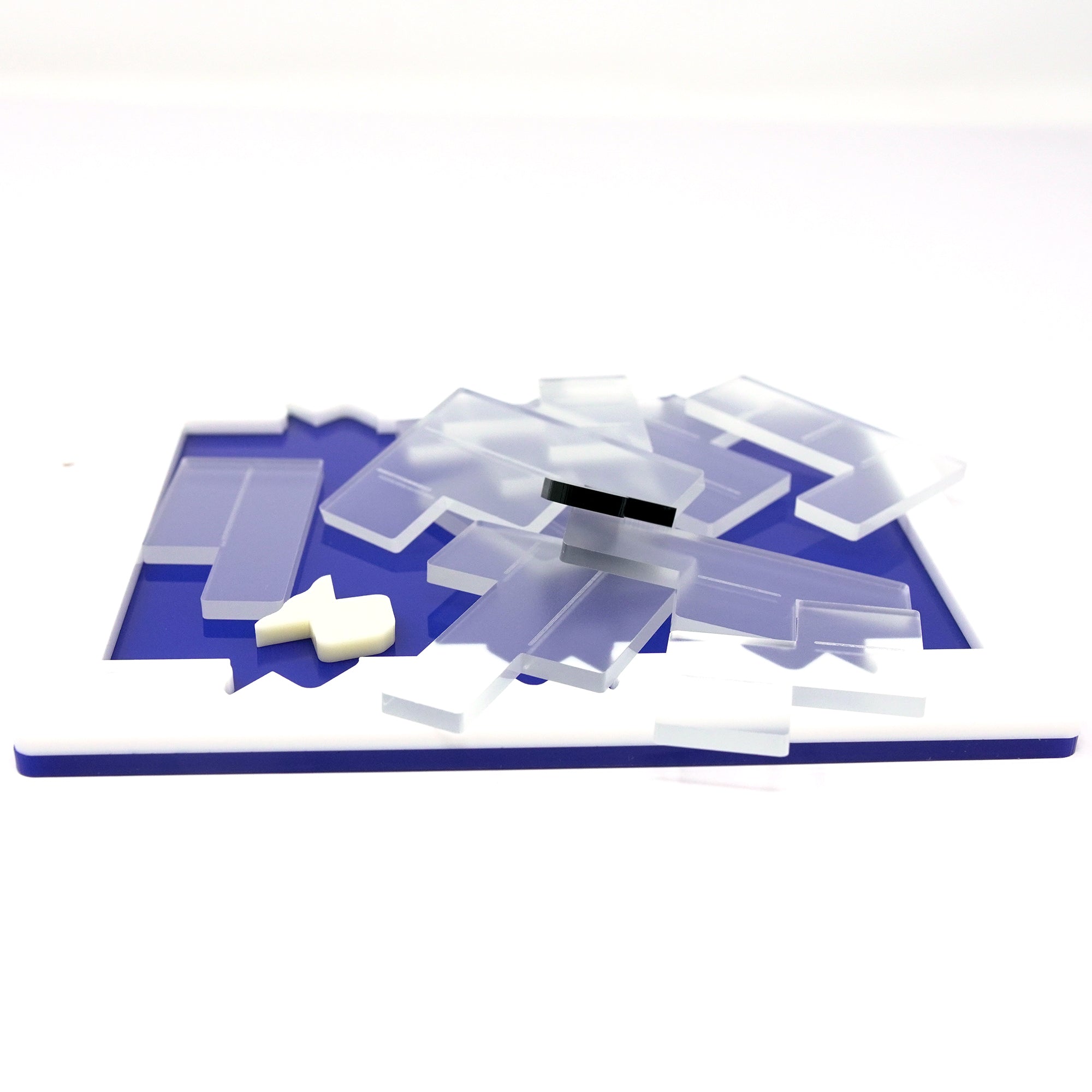 Pond 12 Puzzle