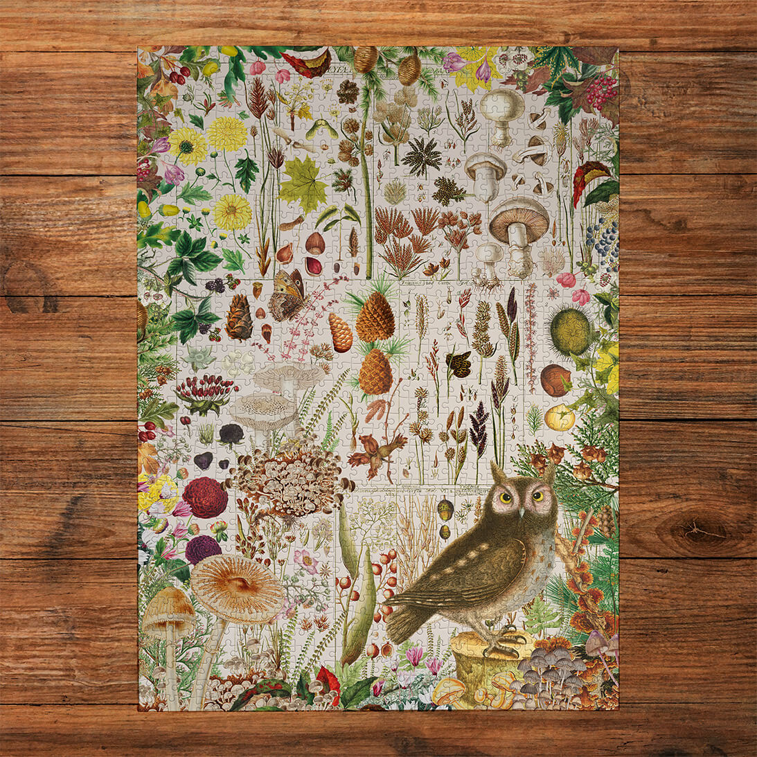 RHS Fall Flora Jigsaw - 1000 Pieces