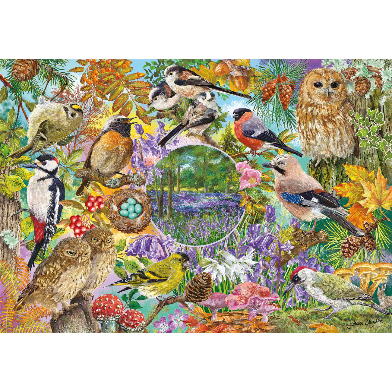 RSPB: Wings In The Wild Jigsaws - 4 x 500 Pieces