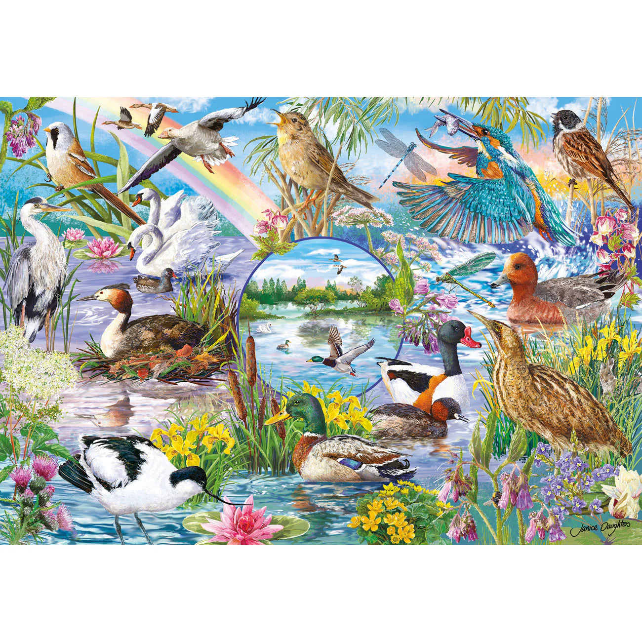 RSPB: Wings In The Wild Jigsaws - 4 x 500 Pieces