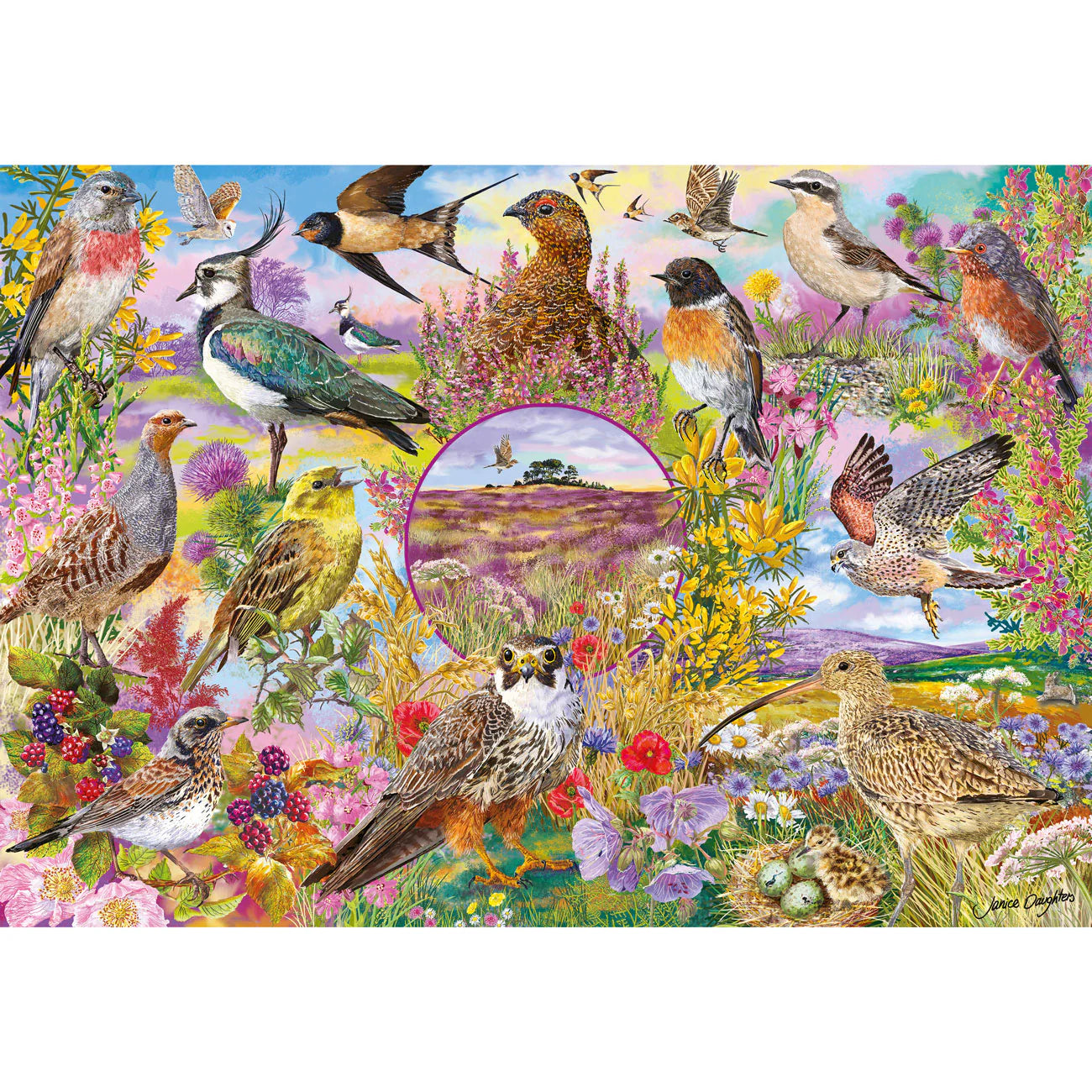 RSPB: Wings In The Wild Jigsaws - 4 x 500 Pieces