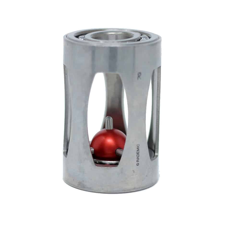 Rademic Hedgehog in the Cage Axis