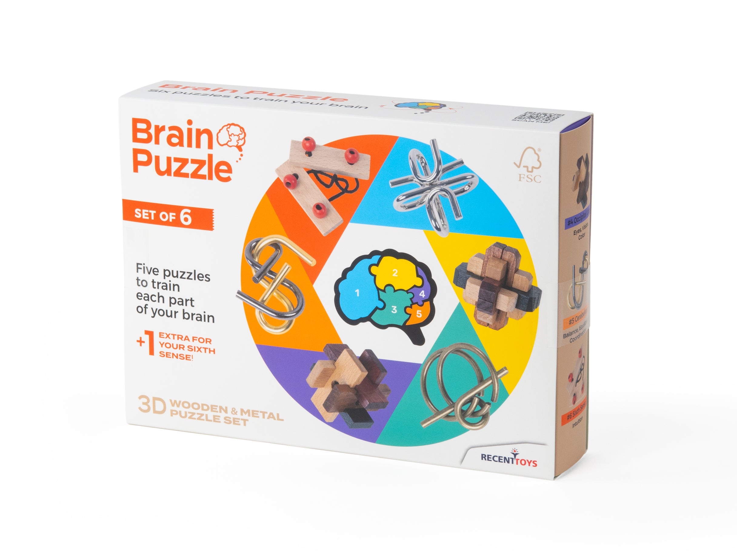 Brain Puzzle - Set of 6