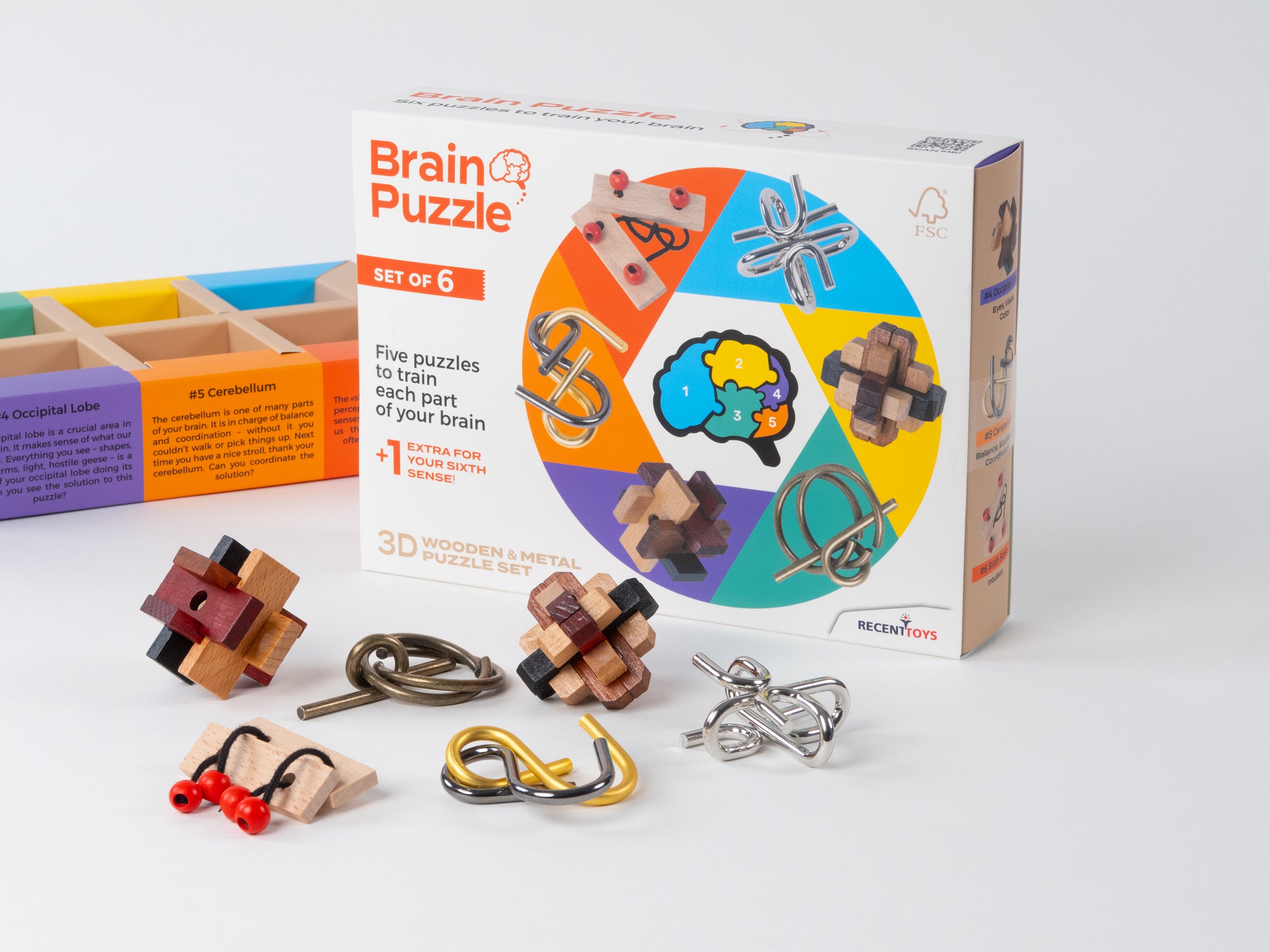 Brain Puzzle - Set of 6