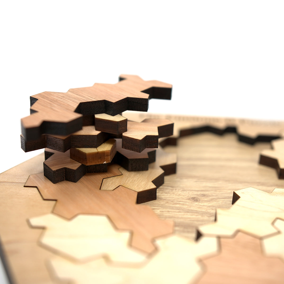 Einstone II Wooden Puzzle