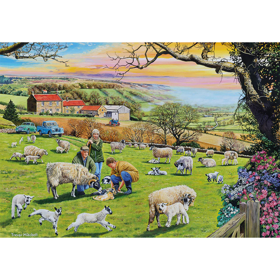 Call The Vet Jigsaws - 4 x 500 Pieces