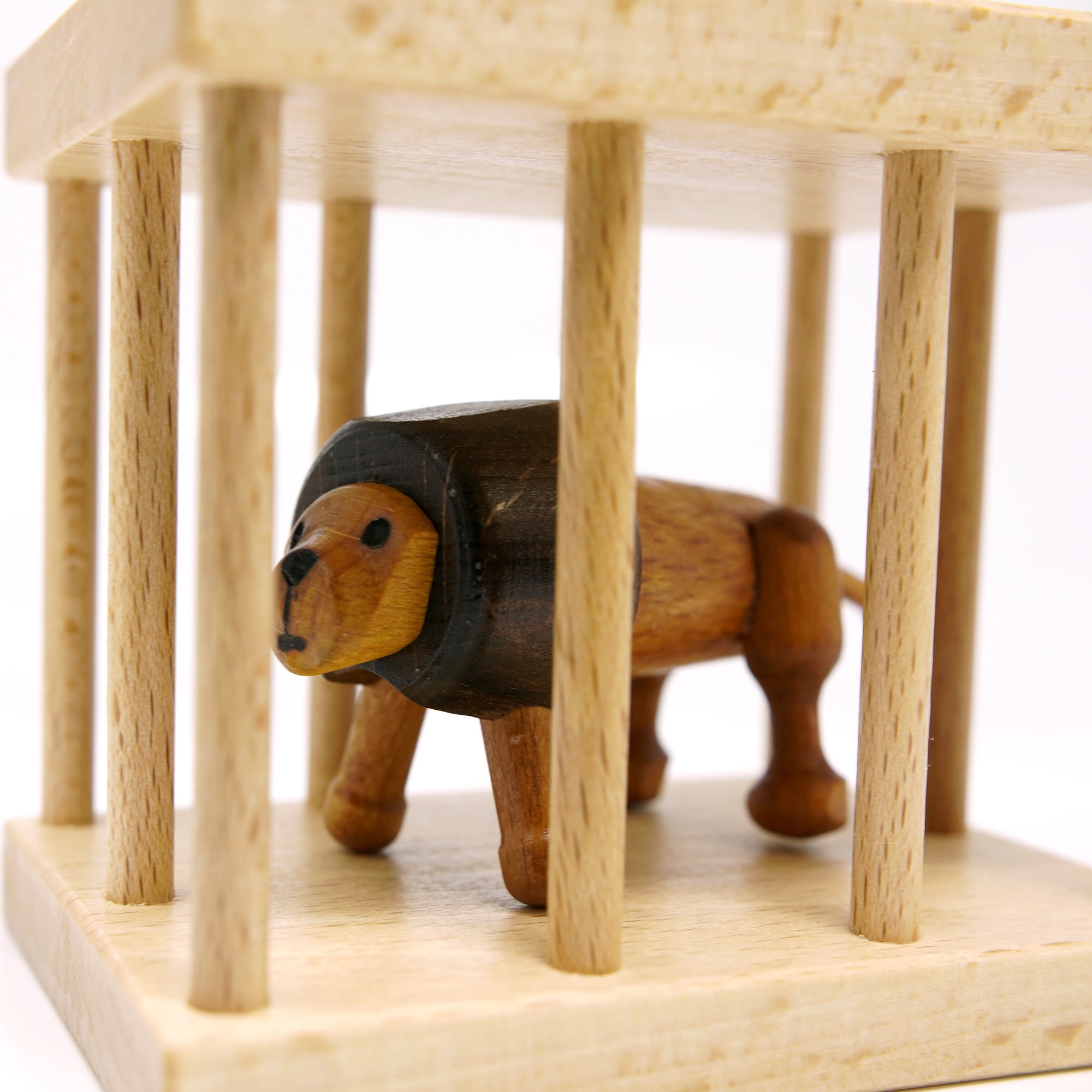 Lion in the Cage Puzzle