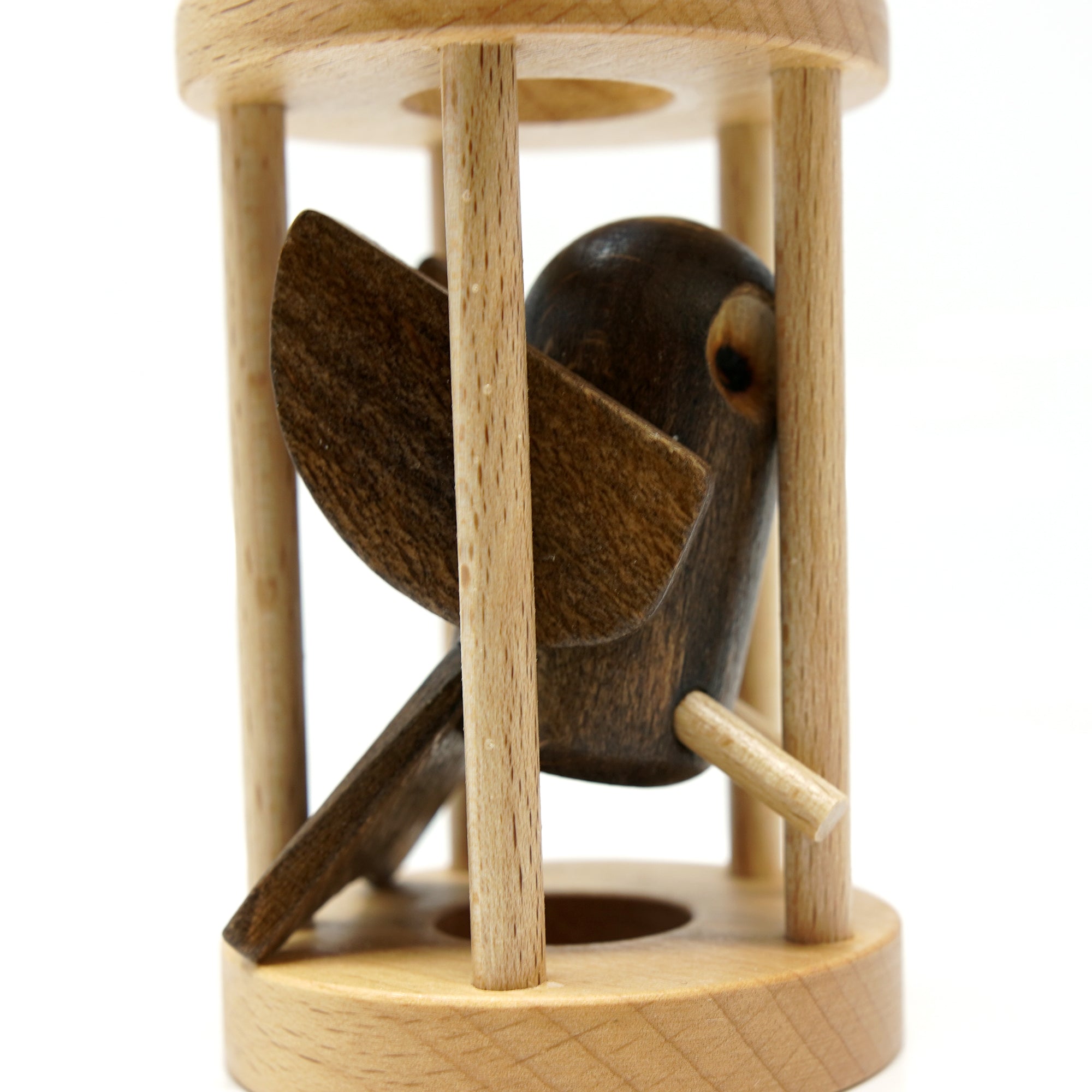 Owl in the Cage Puzzle