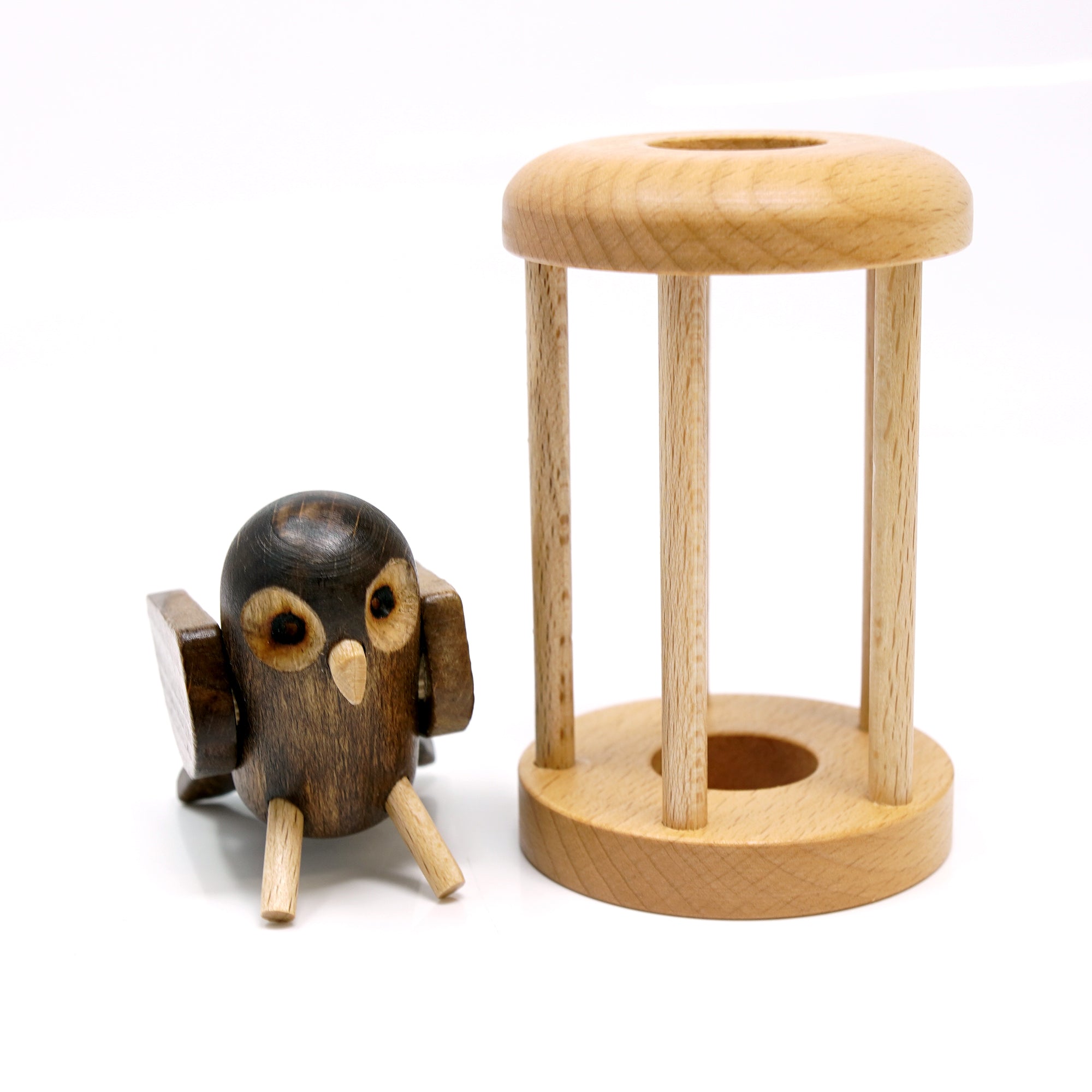 Owl in the Cage Puzzle