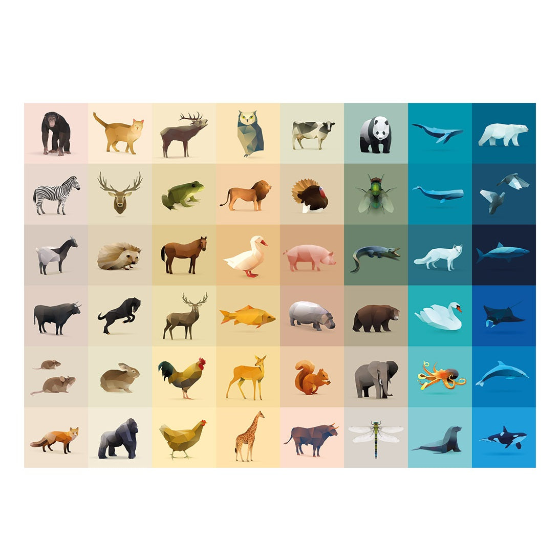 Fauna Jigsaw Puzzle - 1000 Pieces