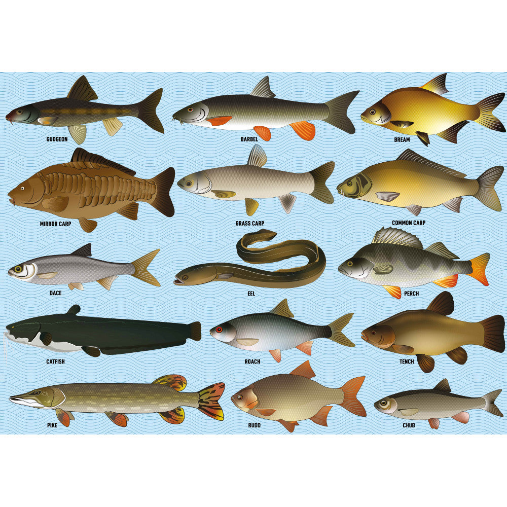 Coarse Fishing Jigsaw - 1000 Pieces