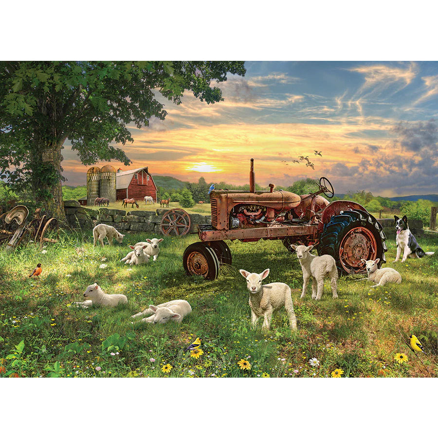 Field At Sunrise Jigsaw - 1000 Pieces