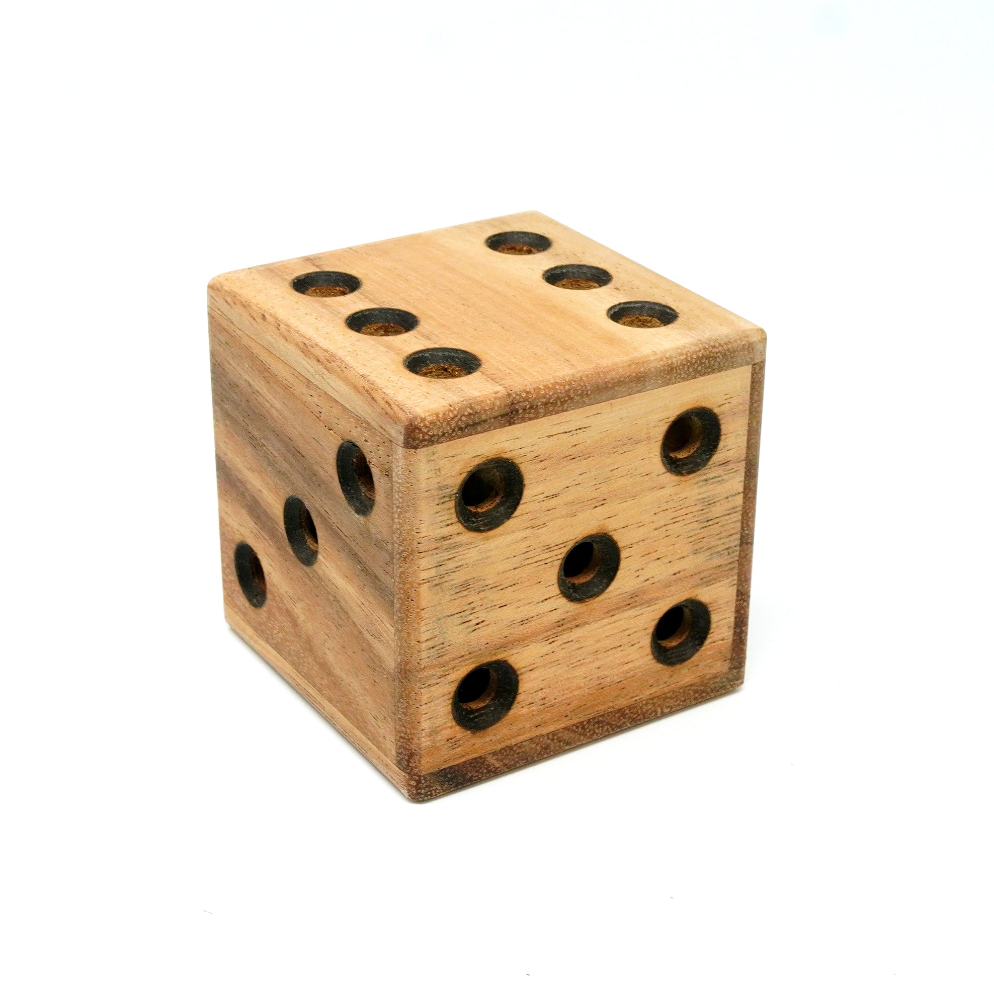 Dice Maze Puzzle