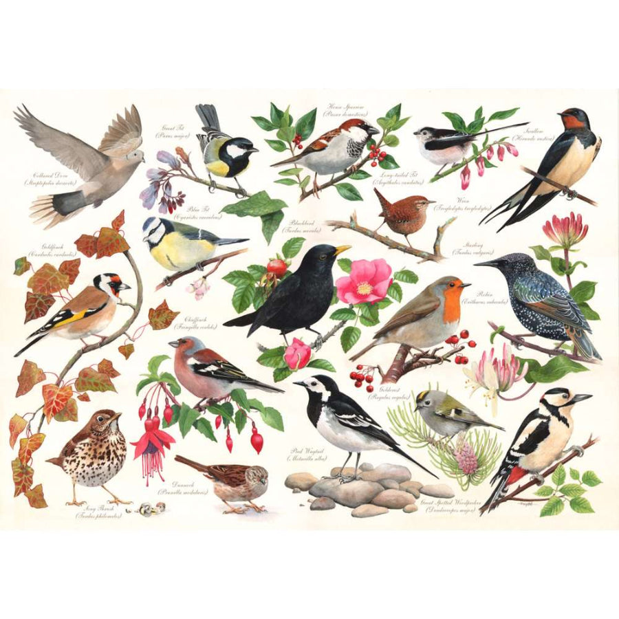 Birds in my Garden Jigsaw - 1000 Pieces