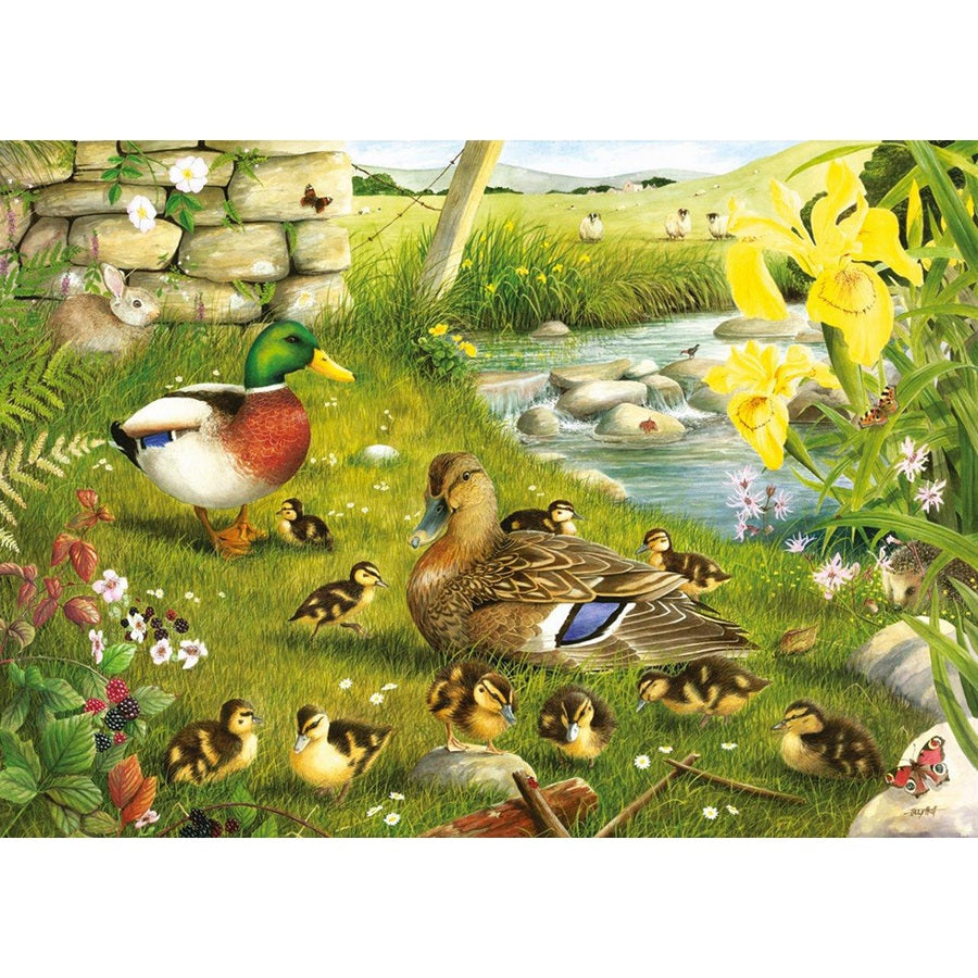 Ducks to Water Jigsaw - 500 XL Pieces