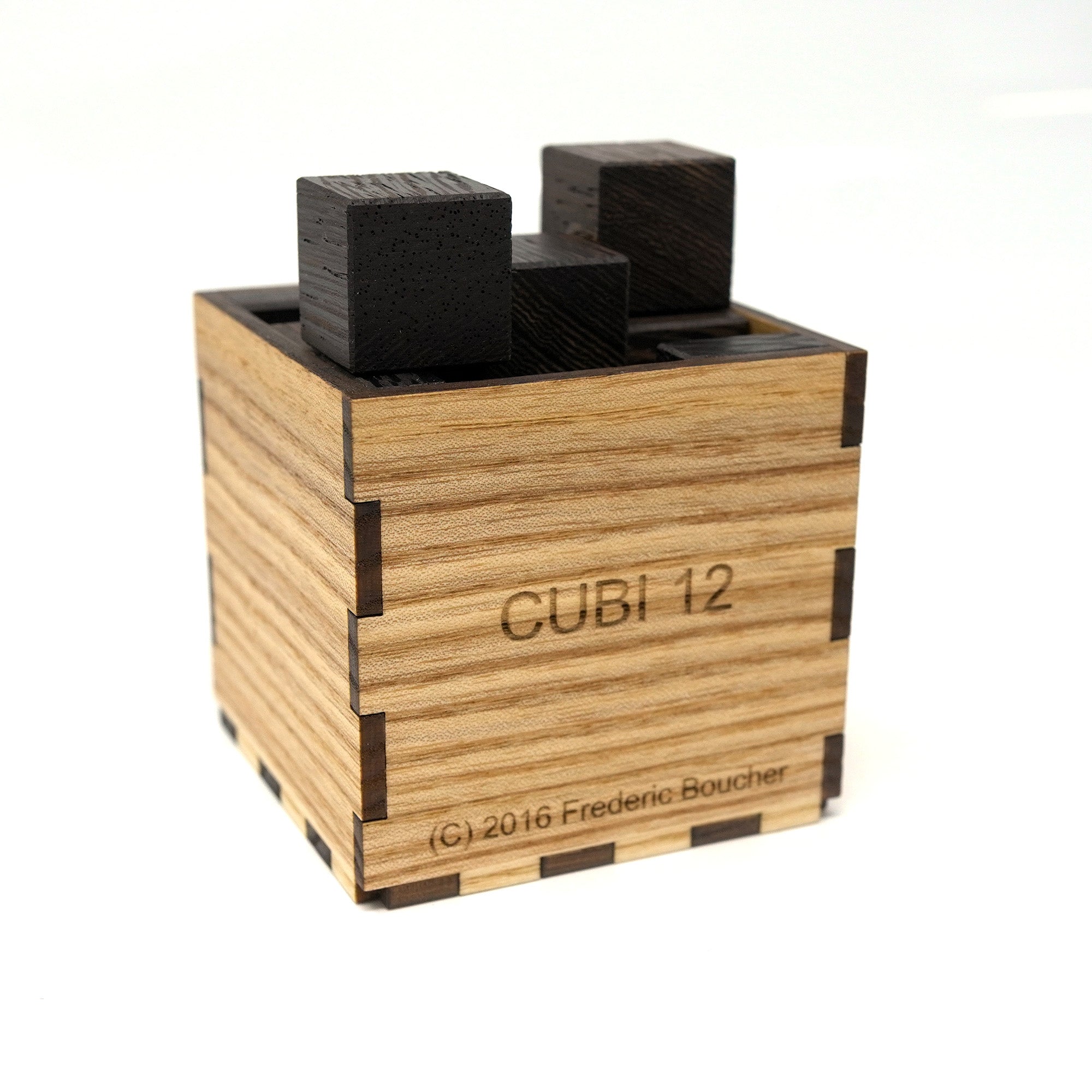 CUBI 12 Puzzle