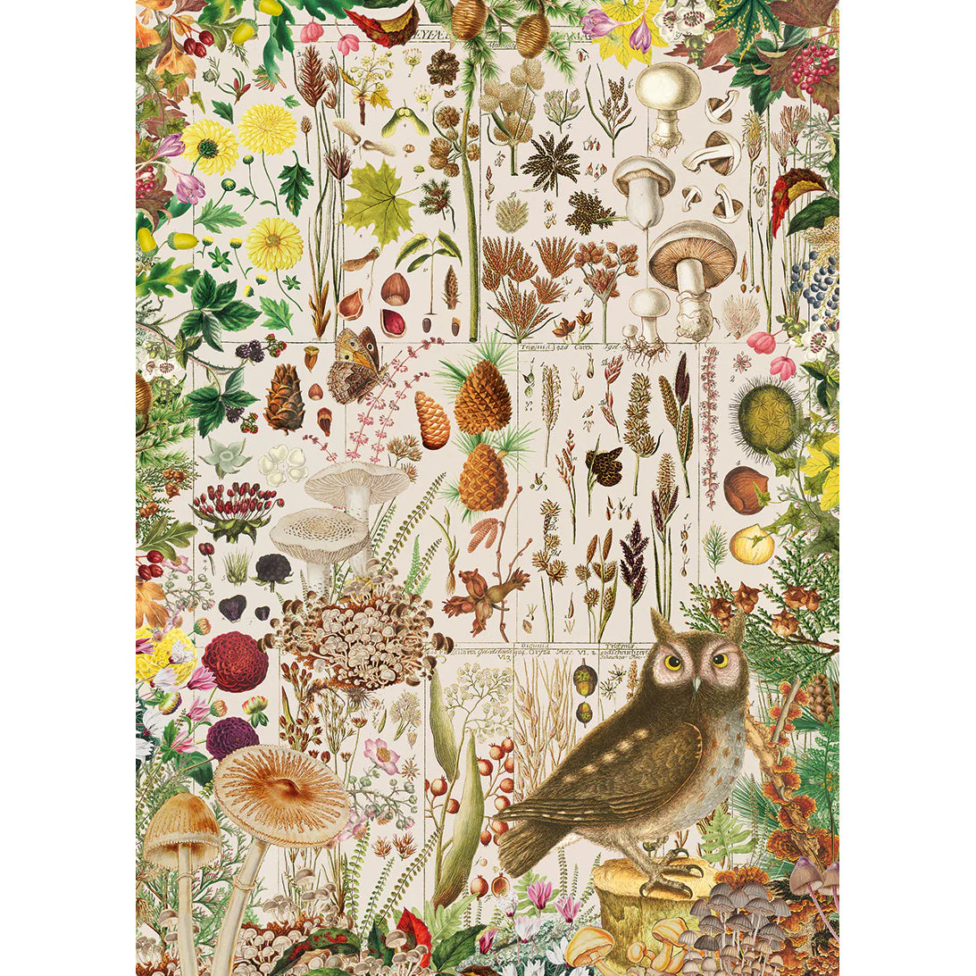 RHS Fall Flora Jigsaw - 1000 Pieces