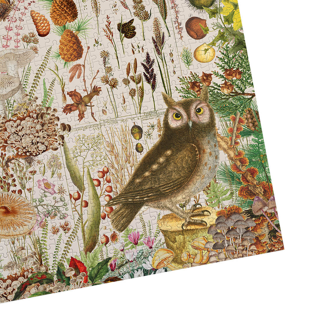 RHS Fall Flora Jigsaw - 1000 Pieces