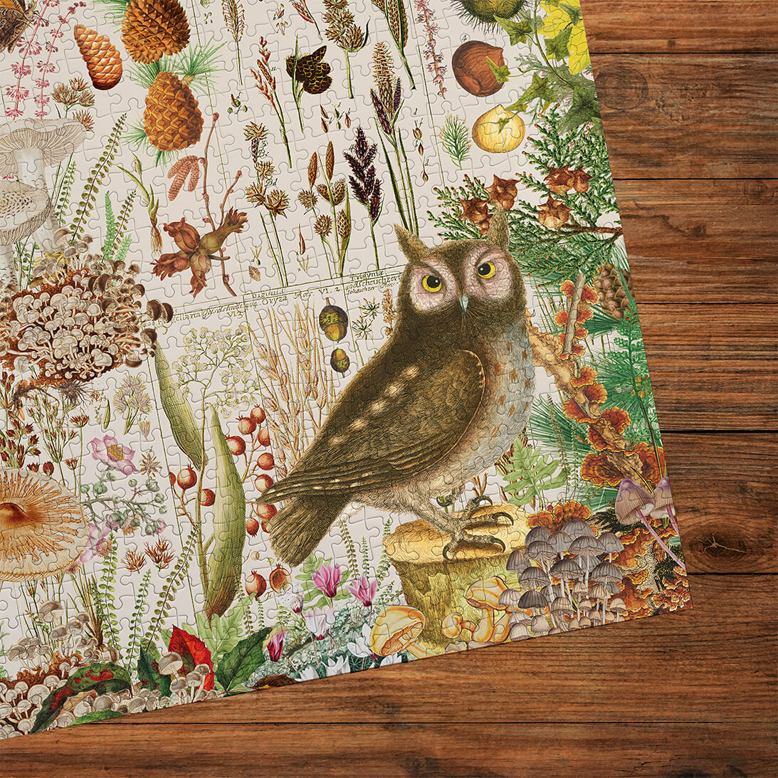 RHS Fall Flora Jigsaw - 1000 Pieces