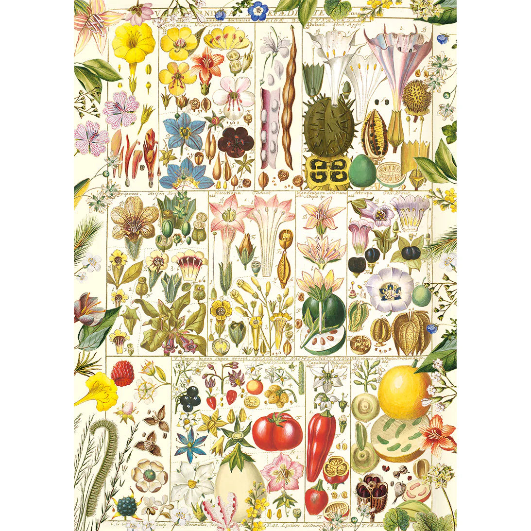RHS Botanical Bliss Jigsaw - 1000 Pieces