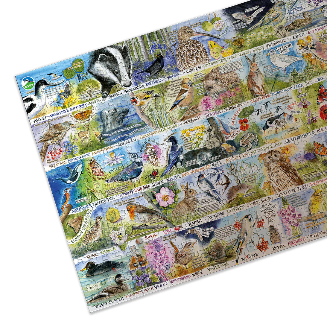 RSPB: Birdsong & Bluebells - 1000 Pieces