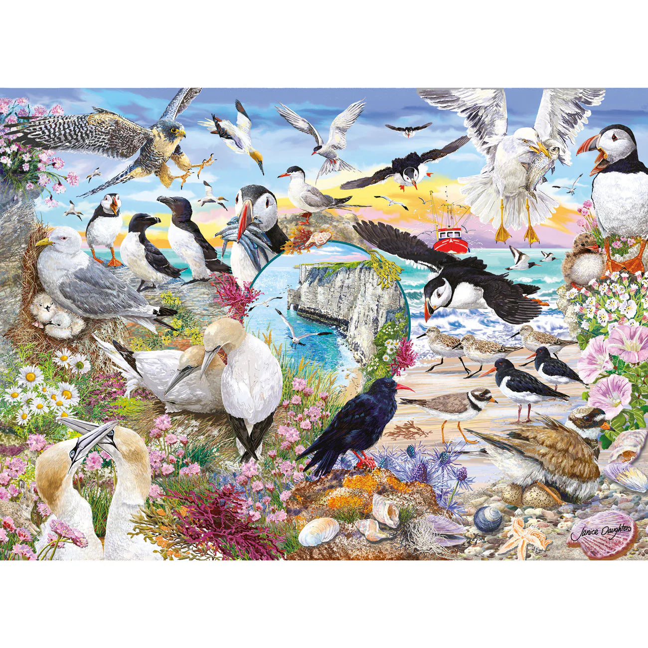 RSPB: Wings In The Wild Jigsaws - 4 x 500 Pieces