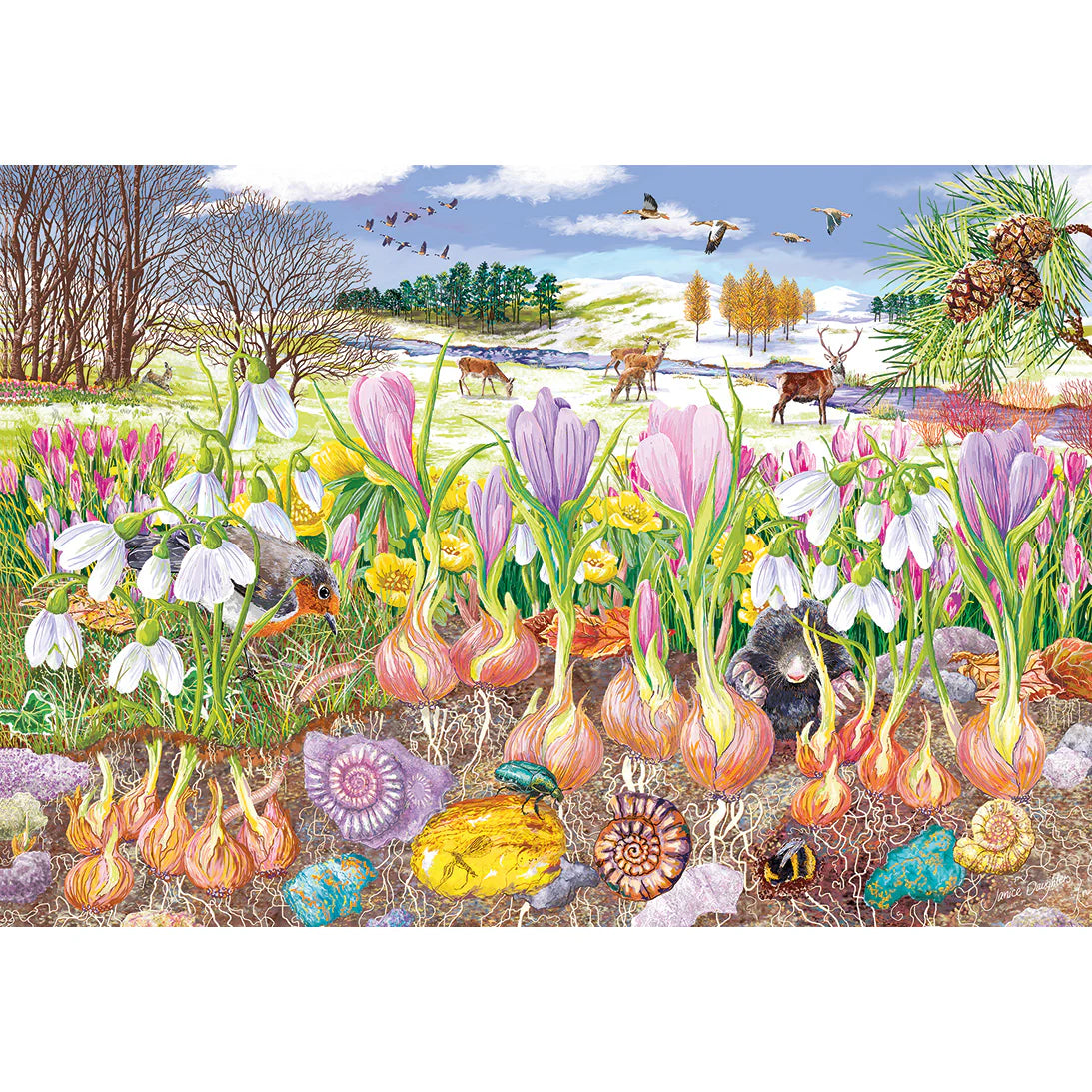 Roots and Shoots Jigsaws - 4 x 500 Pieces