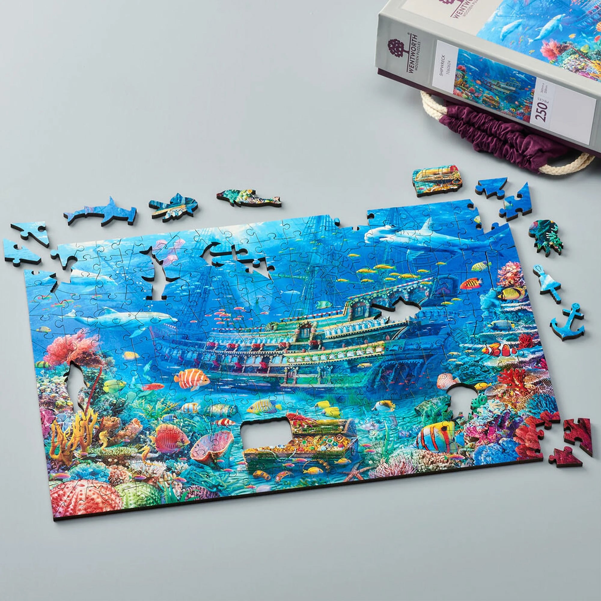 Shipwreck Jigsaw Puzzle