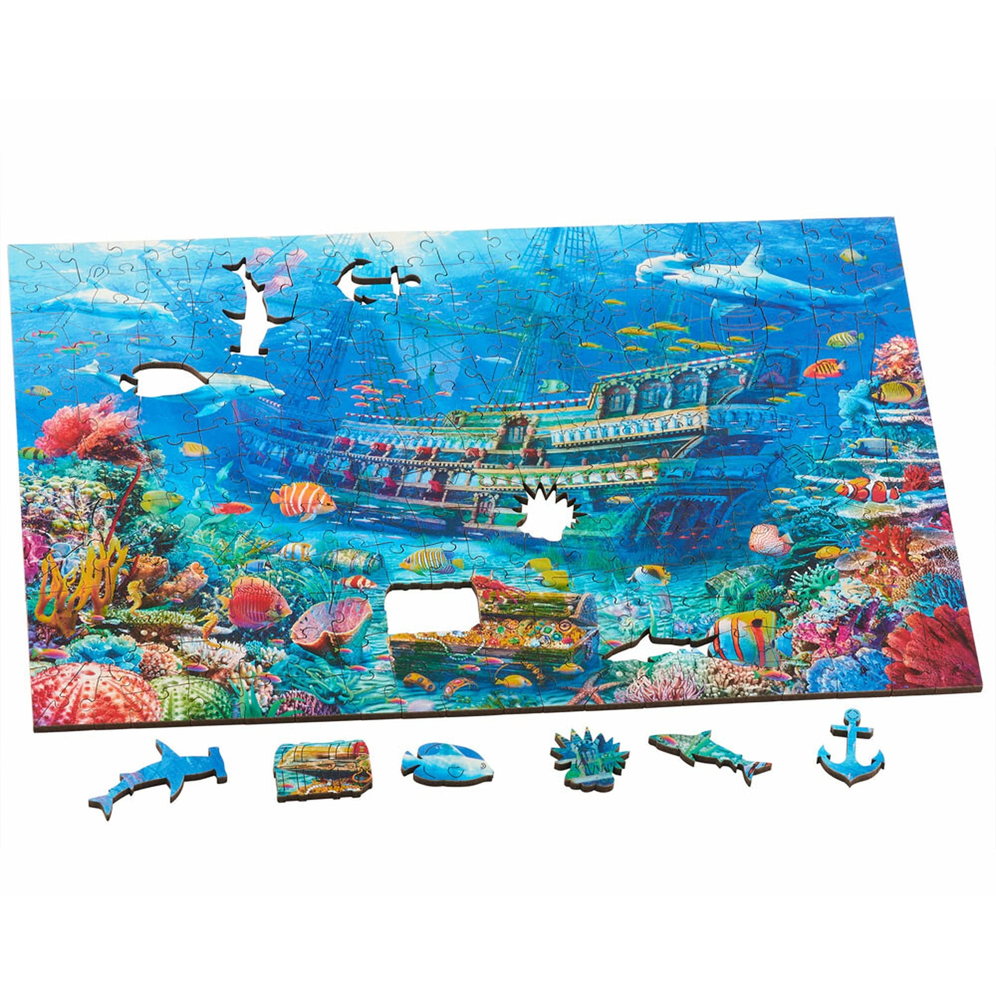 Shipwreck Jigsaw Puzzle