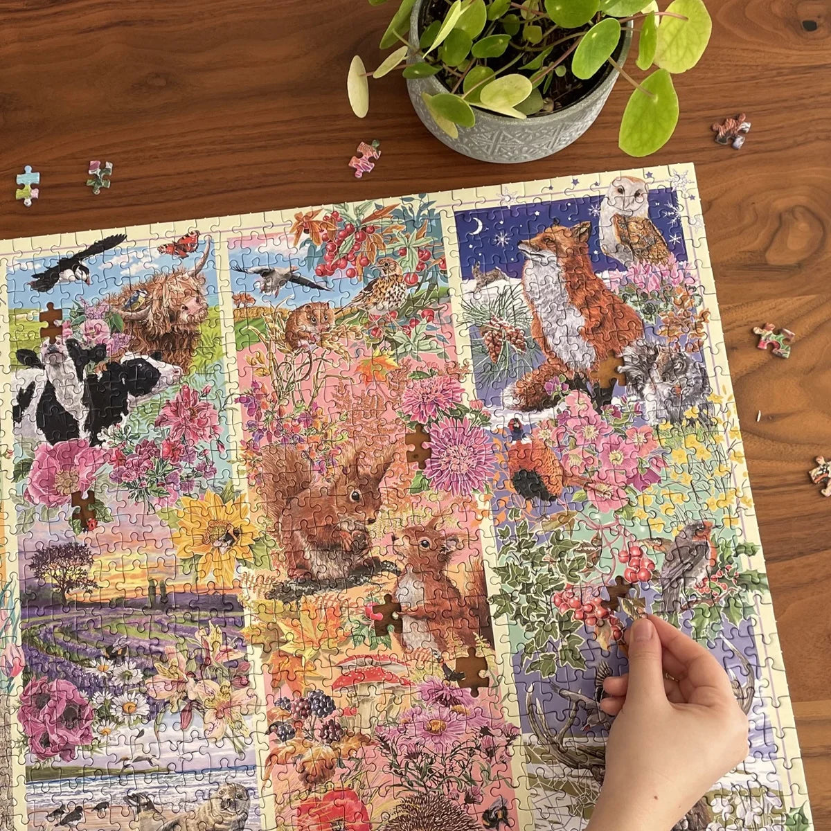 Through The Seasons Jigsaw - 1000 Pieces