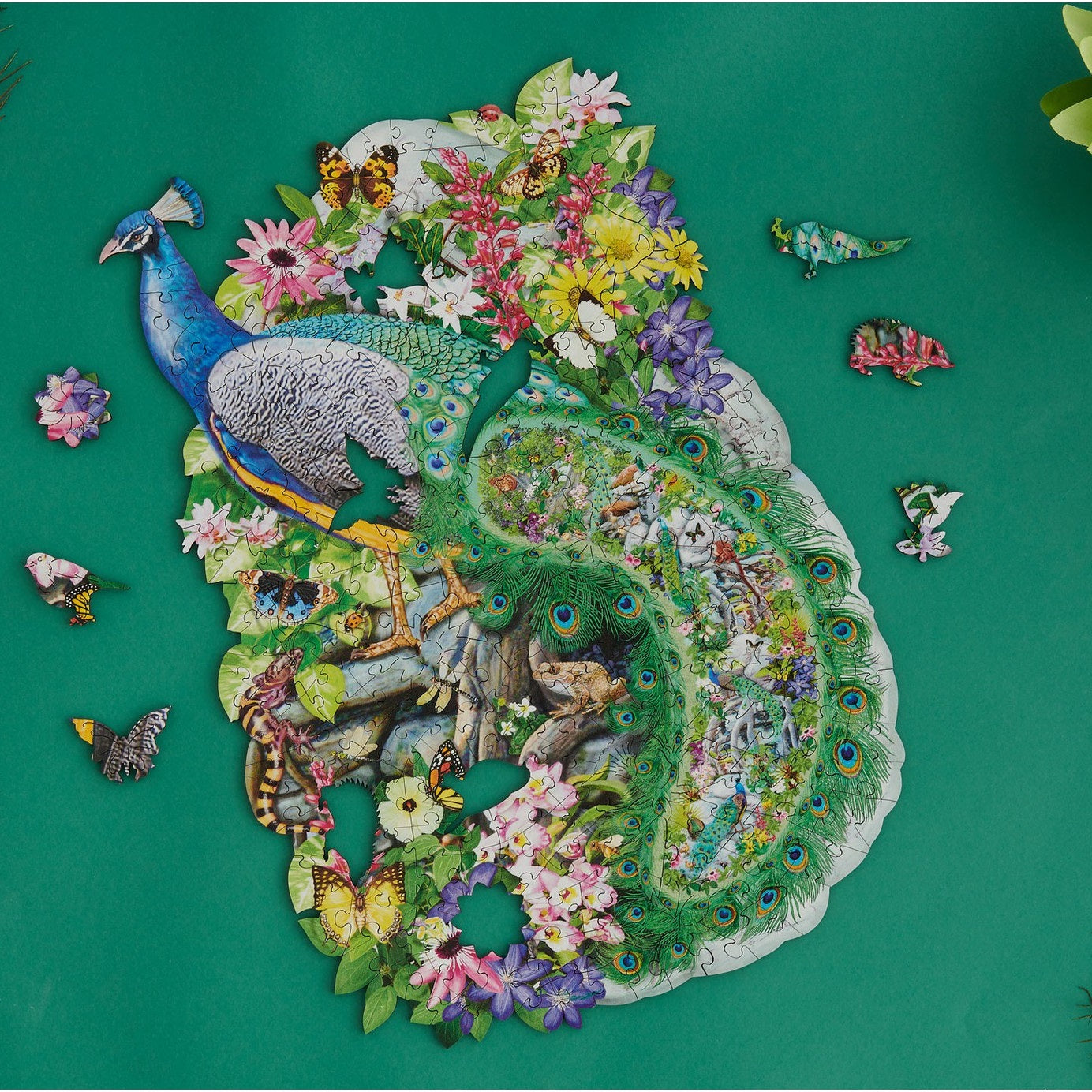 Peacock of India Jigsaw Puzzle