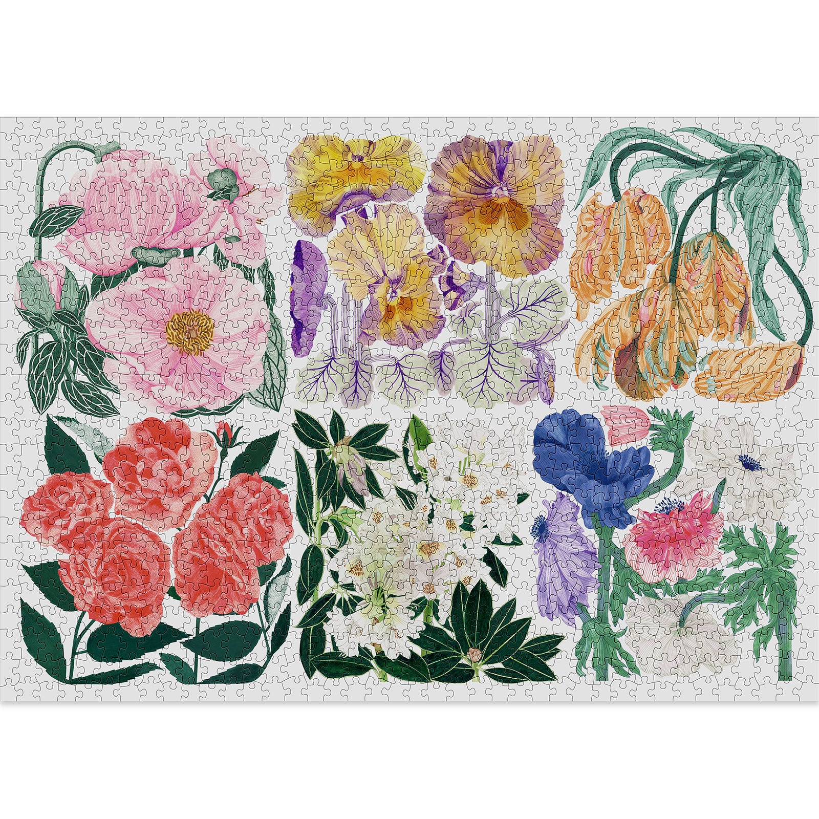 Flora Jigsaw Puzzle - 1000 Pieces